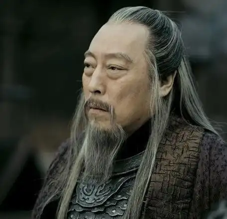 司马懿影视形象(倪大红饰)