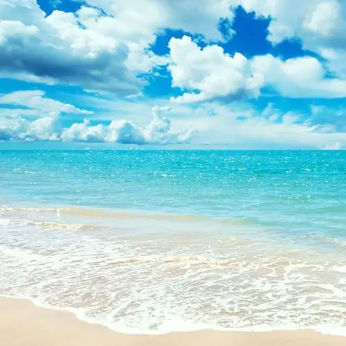 美丽的大海壁纸 _ 图片网