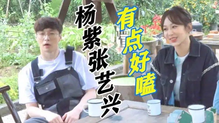 杨紫张艺兴有点好嗑互动cp十足开拖拉机载杨紫太好嗑了
