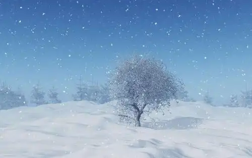 雪花是上帝写给冬天的诗