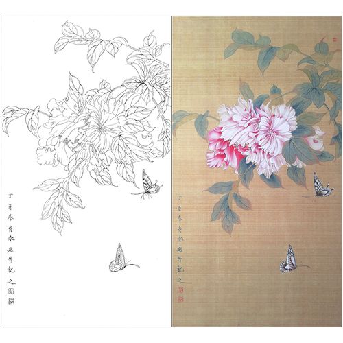 tp357工笔画芙蓉蝴蝶白描底稿国画花鸟临摹练习线描画实物打印稿