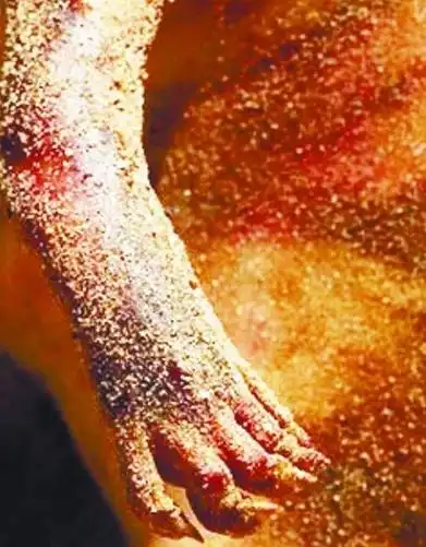 这具尸体的前后脚分别有5根脚趾,与普通的猪蹄不一样.