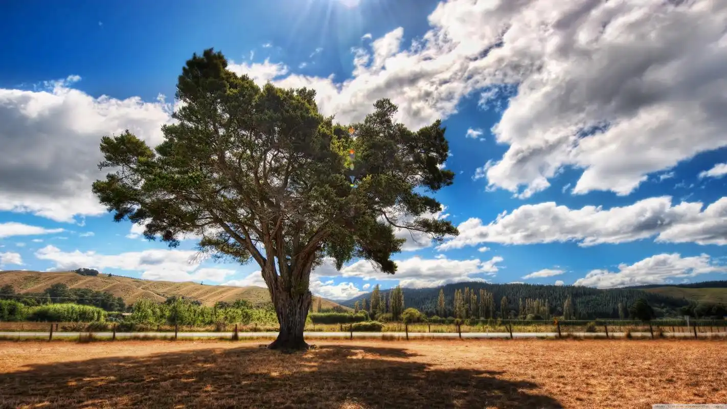 4k超赞绝美风景超清电脑桌面壁纸高清大图预览其它尺寸_风景壁纸下载