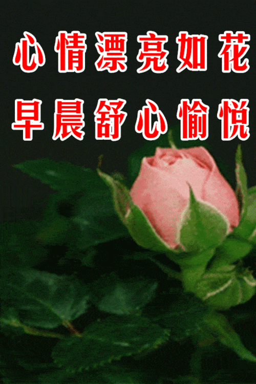 12月13日最漂亮早上好动态表情图片大全