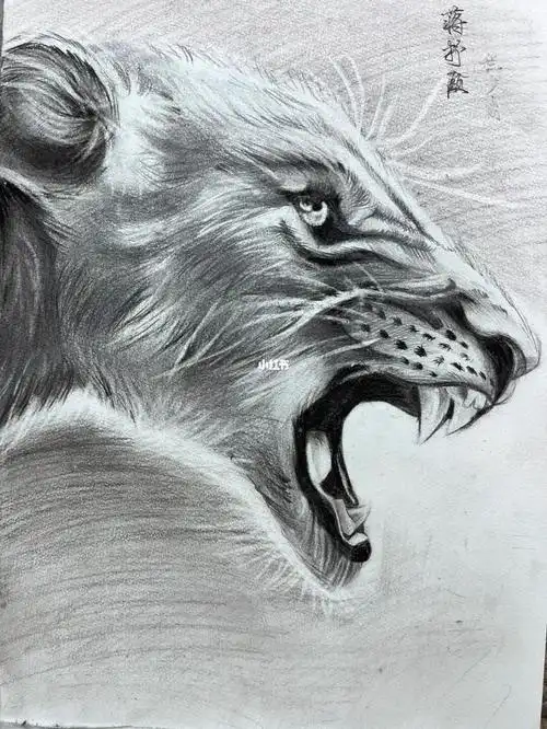 素描豹子