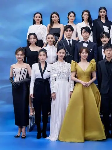 时尚芭莎这张合照里,几位小花的不同表现力