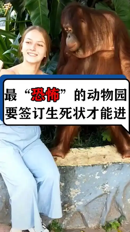 最恐怖的动物园要签订生死状才能进