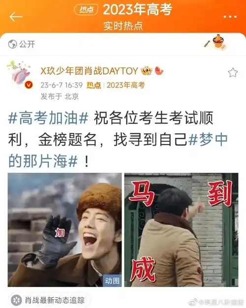 逢考必过!旗开得胜,马到成功!金榜题名!#肖战肖春生##梦中的那片海