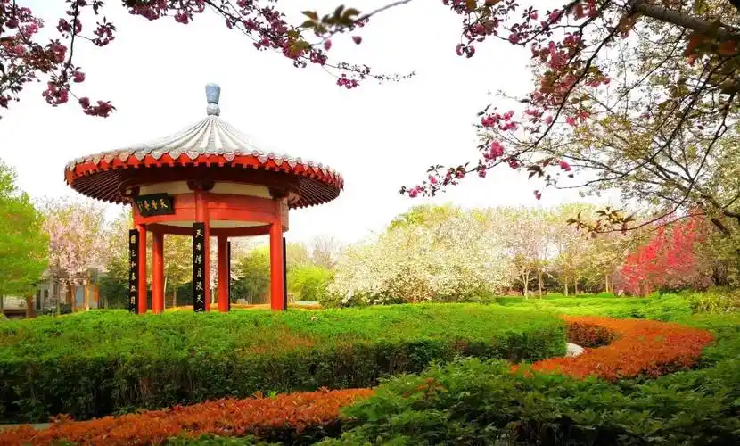 洛阳市隋唐城遗址植物园