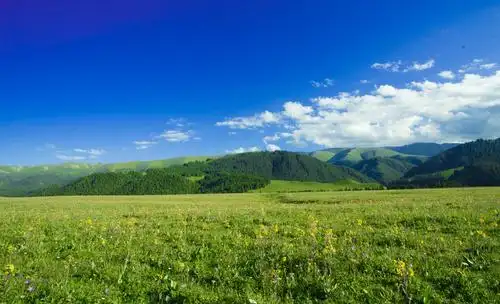 新疆巴音布鲁克大草原风景欣赏(a)