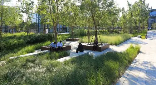 雄安市民服务中心景观设计 | ramboll studio dreiseitl