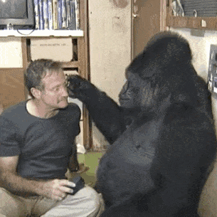 305_305gif 动态图 动图