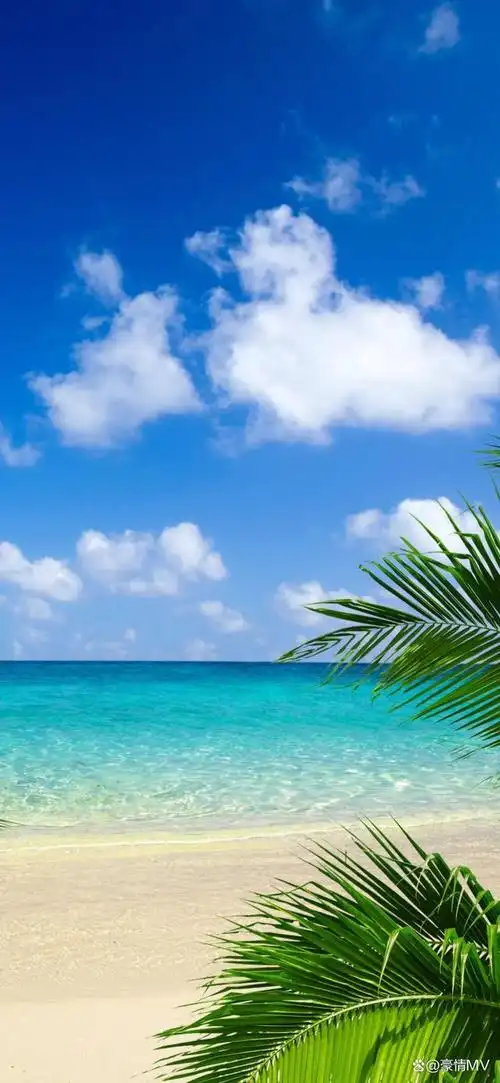 碧海蓝天竖屏壁纸超清_海边超唯美手机壁纸图片