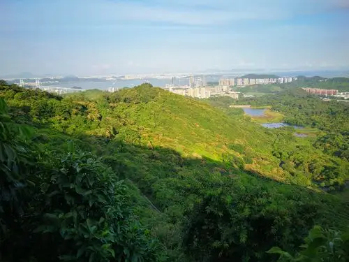 南沙黄山鲁森林公园手机随拍