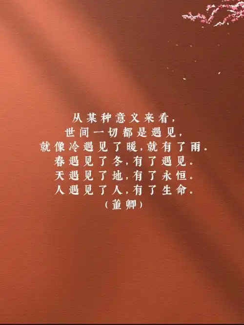 文字的力量 #金句 #央视 #央视文案 #董卿语录 - 抖音