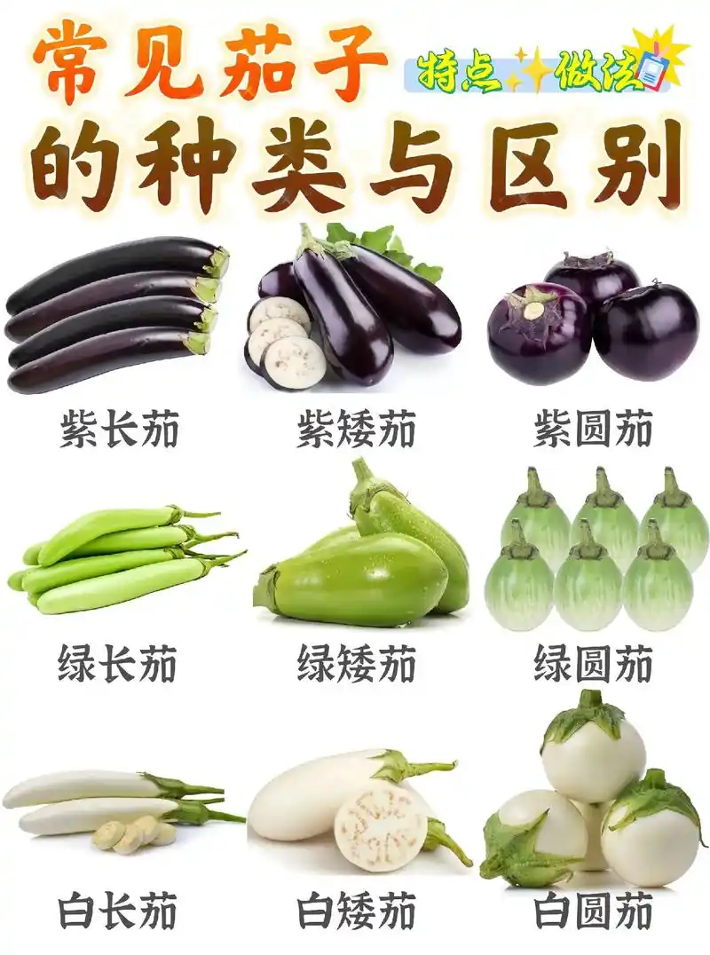 9797茄子的挑选93方法攻略9797 78"立夏栽茄子,立秋 - 抖