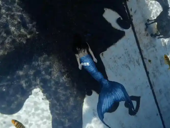 可以做人鱼公主吗