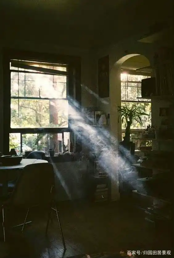 阳光透过窗户,树叶,照射进房间里,慵懒,惬意,美好!