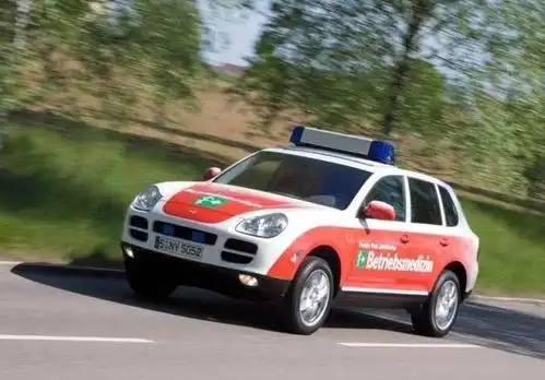 你有权保持震惊荷兰超跑警队成员全盘点