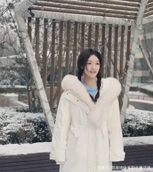 贺美琦冬日雪景照瑞雪兆丰年虎虎生威一帆风顺