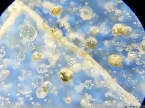 美篇北宋早期天青釉洒血红窑变钧瓷大盘微观放大100倍,有排列遵循气泡