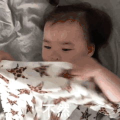 240_240gif 动态图 动图