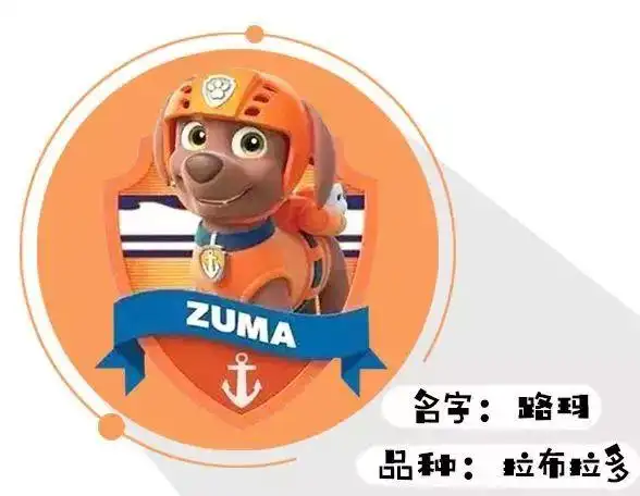 打败小猪佩奇晋升宝宝圈第一网红的汪汪队到底好在哪里