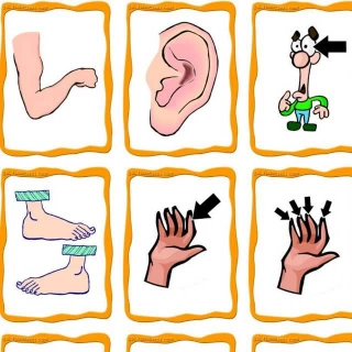 你是身体会说话