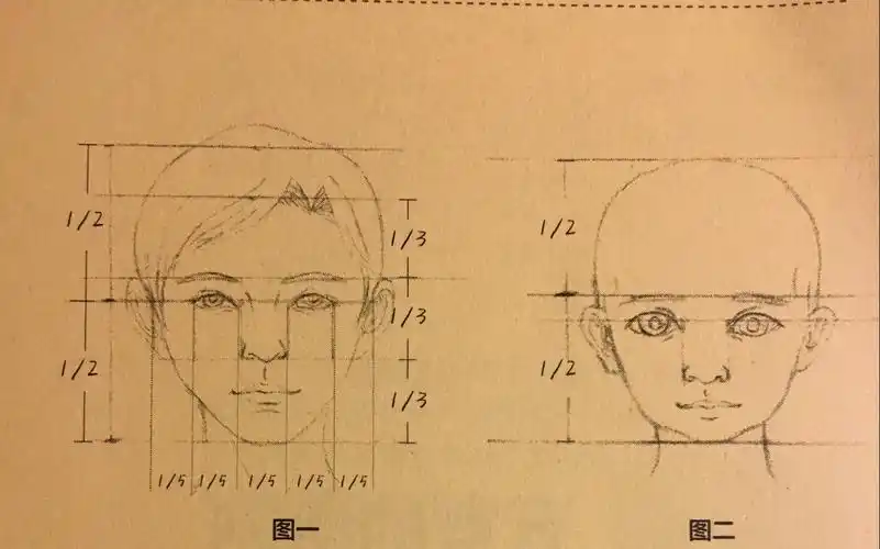 素描头像的基础知识之三庭五眼很详细