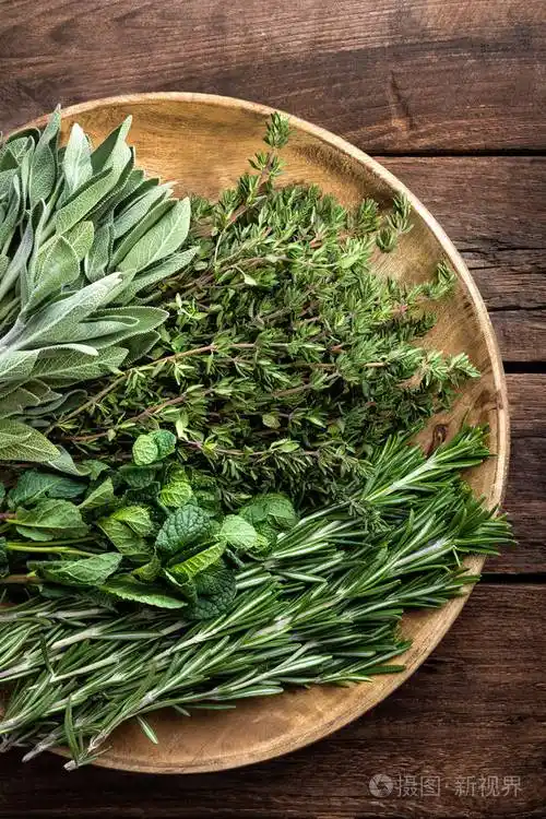 各种新鲜的香草