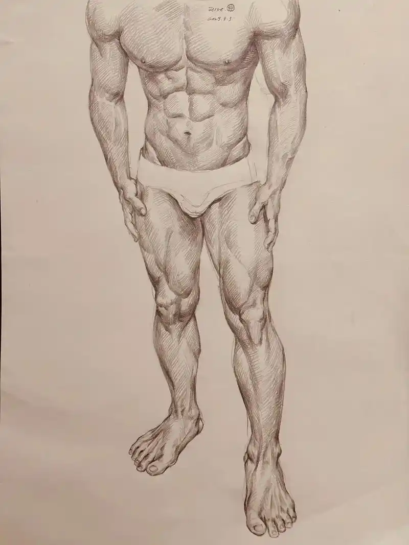 男生速写.#肌肉 #健身 #完美身材 #速写 #人体 - 抖音