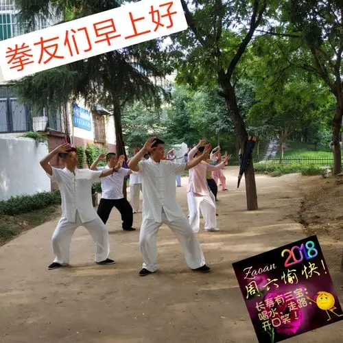 拳友们早上好,天天晨练身体好,吴式太极拳训练基地