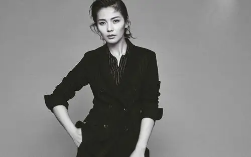 人气明星刘涛帅气西装时尚高清桌面壁纸