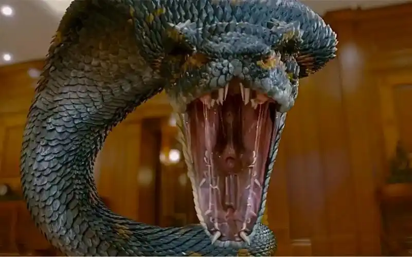 变异狂蟒2:眼镜男碰见巨蟒吓尿裤子,四川方言让人笑破肚皮.