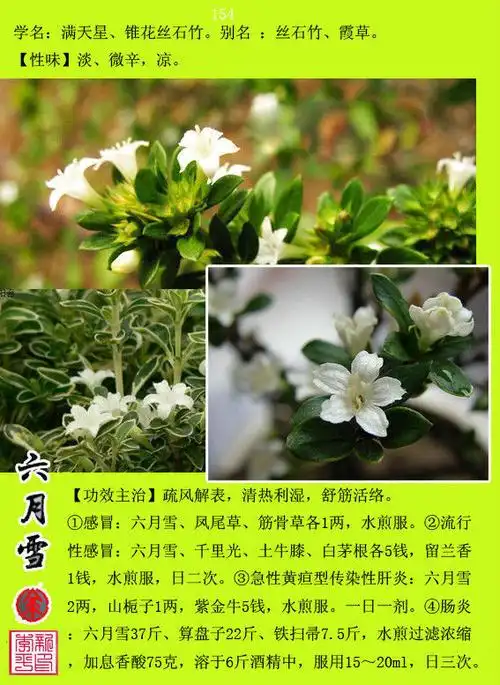 【转载】中草药300种图谱