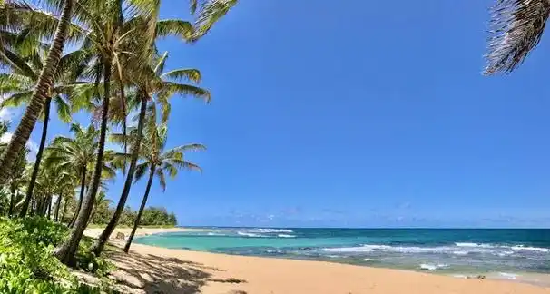 夏天最值得去的海岛:畅享清凉海风与美景