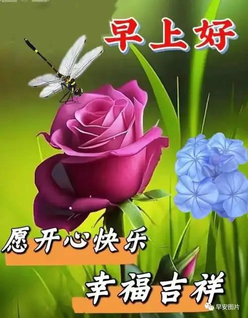 9月26日-最新早安漂亮祝福图片|快乐|清晨|甜蜜|幸福|早上好_网易订阅