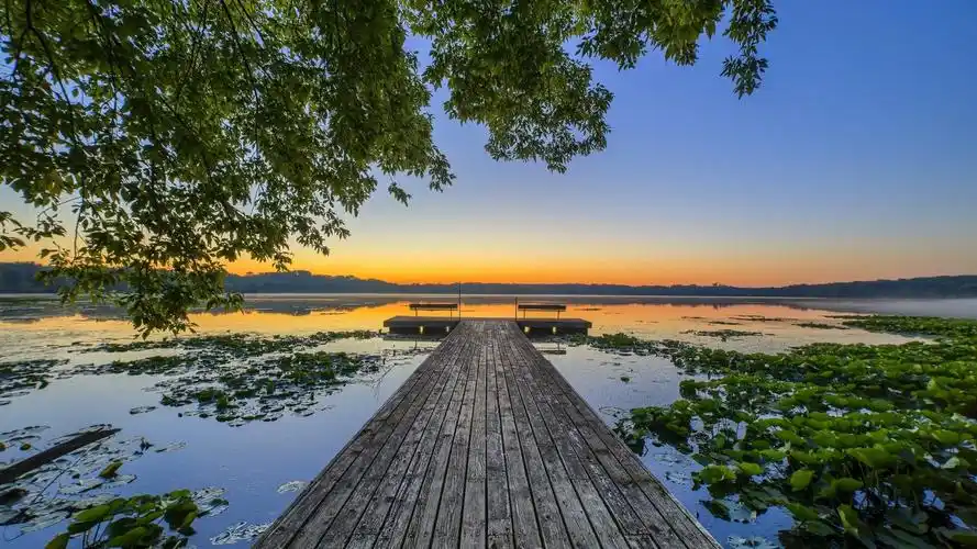 莲花湖,码头,树木 壁纸 - 1920x1080 全高清