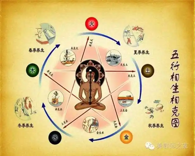 内脏对应的五行,人体的五脏与金木水火土是怎