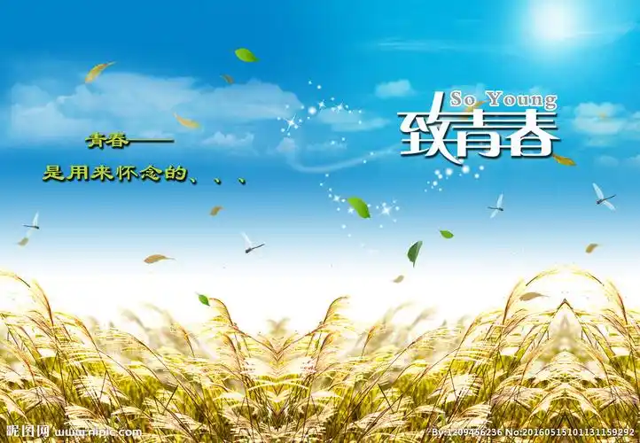 致青春相册封面图片