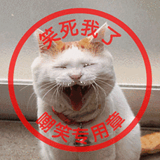 猫咪gif喵星人gif笑死我了gif嘲笑专用章gif斗图gif可爱gif萌萌哒gif