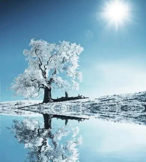 摄影背景布高清大图影楼棚拍照片常用的背景素材婚纱摄影背景67p