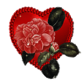 300_300gif 动态图 动图