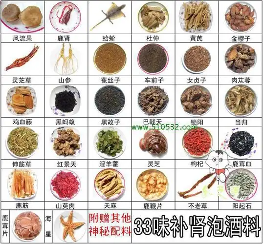 包含壮肾壮阳药酒的功效和作用的词条