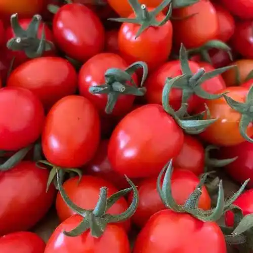 小番茄的惊人功效