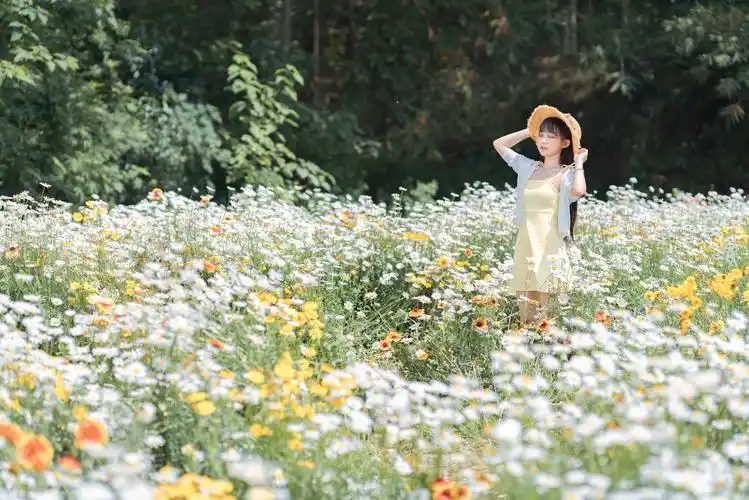 雏菊花海少女_人像_poco摄影,少女,人像