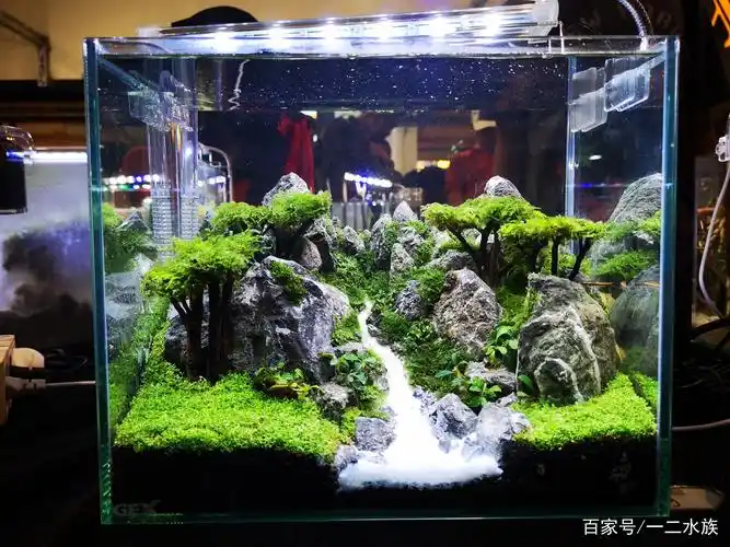 鱼缸景观 - 热门商品专区