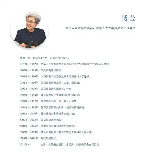 傅莹简历