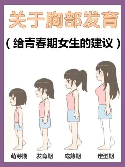 31566胸部还在发育,不能穿钢圈内衣关于胸部发育11566第一