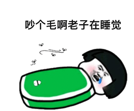 吵个毛啊,老子在睡觉